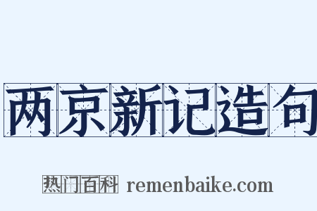 两京新记造句是什么意思的图片